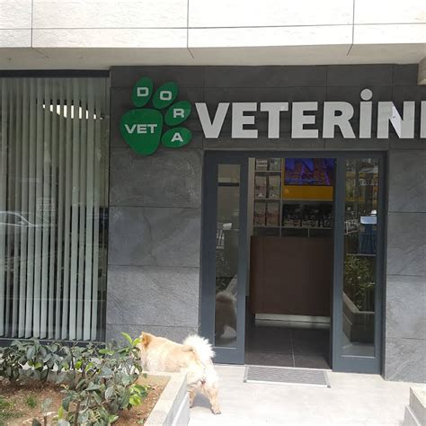 vetdora veteriner kliniği